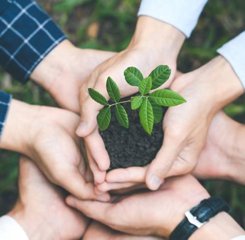 Iniciativa Darwin 2026: Cómo postular a los fondos del Reino Unido para proyectos ambientales en Ecuador