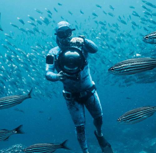 Apnea en Ecuador: ¿Cómo es la experiencia de explorar el océano a puro pulmón?