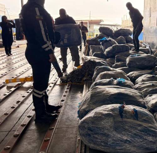 Decomisan más de 21.000 aletas de tiburón en el aeropuerto de Guayaquil