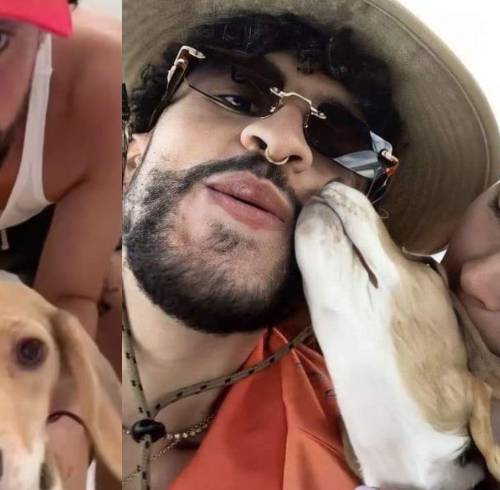 La mascota del puertorriqueño lleva los apellidos Martínez Berlingeri, un detalle que llamó la atención de sus seguidores.