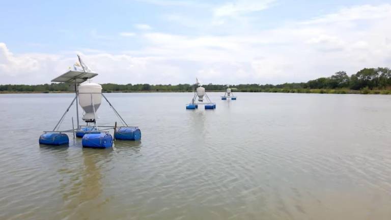 Conectividad llega a zonas alejadas e impulsa el desarrollo de camaronera