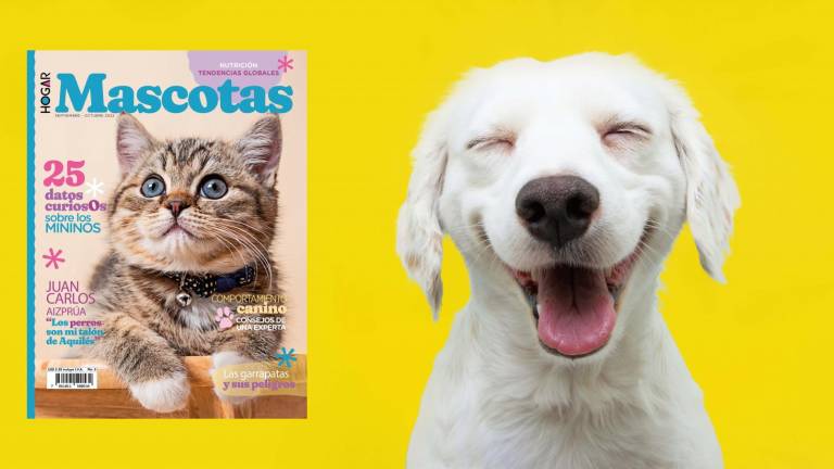 Revista MASCOTAS llega a todas las tiendas de Supermaxi y Mi Comisariato del Ecuador