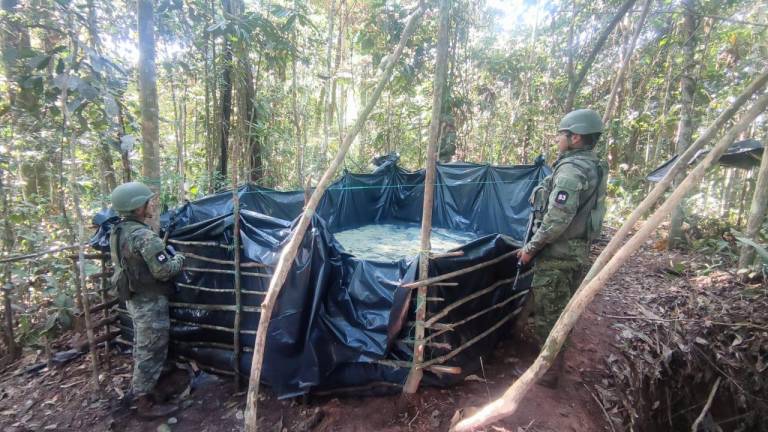 Fuerzas Armadas encontró en Sucumbíos dos piscinas artesanales con 500 galones de gasolina