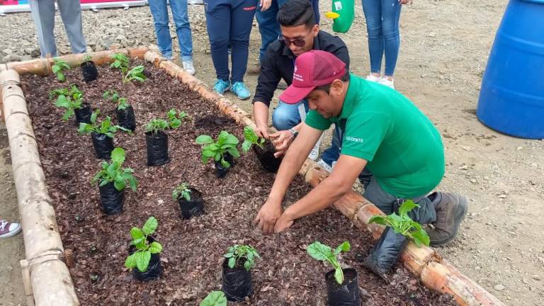 Creación de cultivo universitario aportará al desarrollo sostenible de Guayaquil