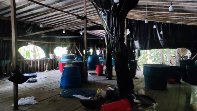 La Fuerza de Tarea Conjunta de Esmeraldas localizó y destruyó dos laboratorios de procesamiento de droga ubicados en San Lorenzo.