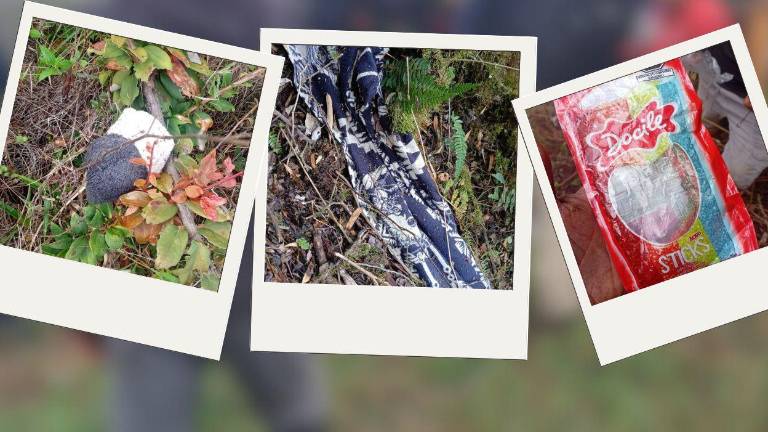 Esto se conoce sobre la desaparición de un niño en el cerro Puñay, en Chimborazo