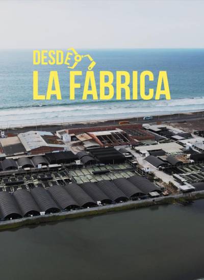 Desde la Fábrica te lleva hasta Acuatecsa para conocer cómo se produce el mejor camarón del mundo.