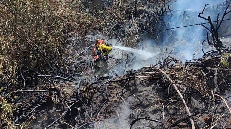 Hombre fue sentenciado a seis meses de cárcel por incendio en Quito: reconoció el crimen