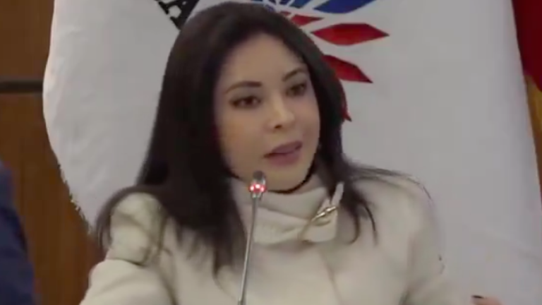 Piden sanción para Pamela Aguirre por permitir comparecencia de Ronny Aleaga en la Asamblea