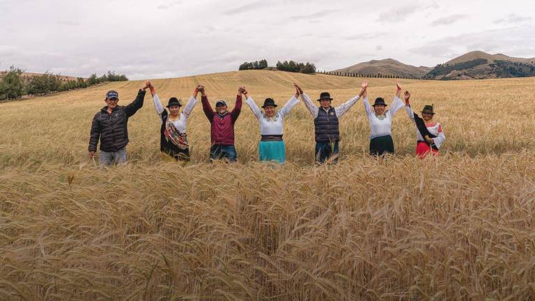 ¿Cómo “Siembra por Contrato” se volvió motor de agricultura y empleo en Ecuador?