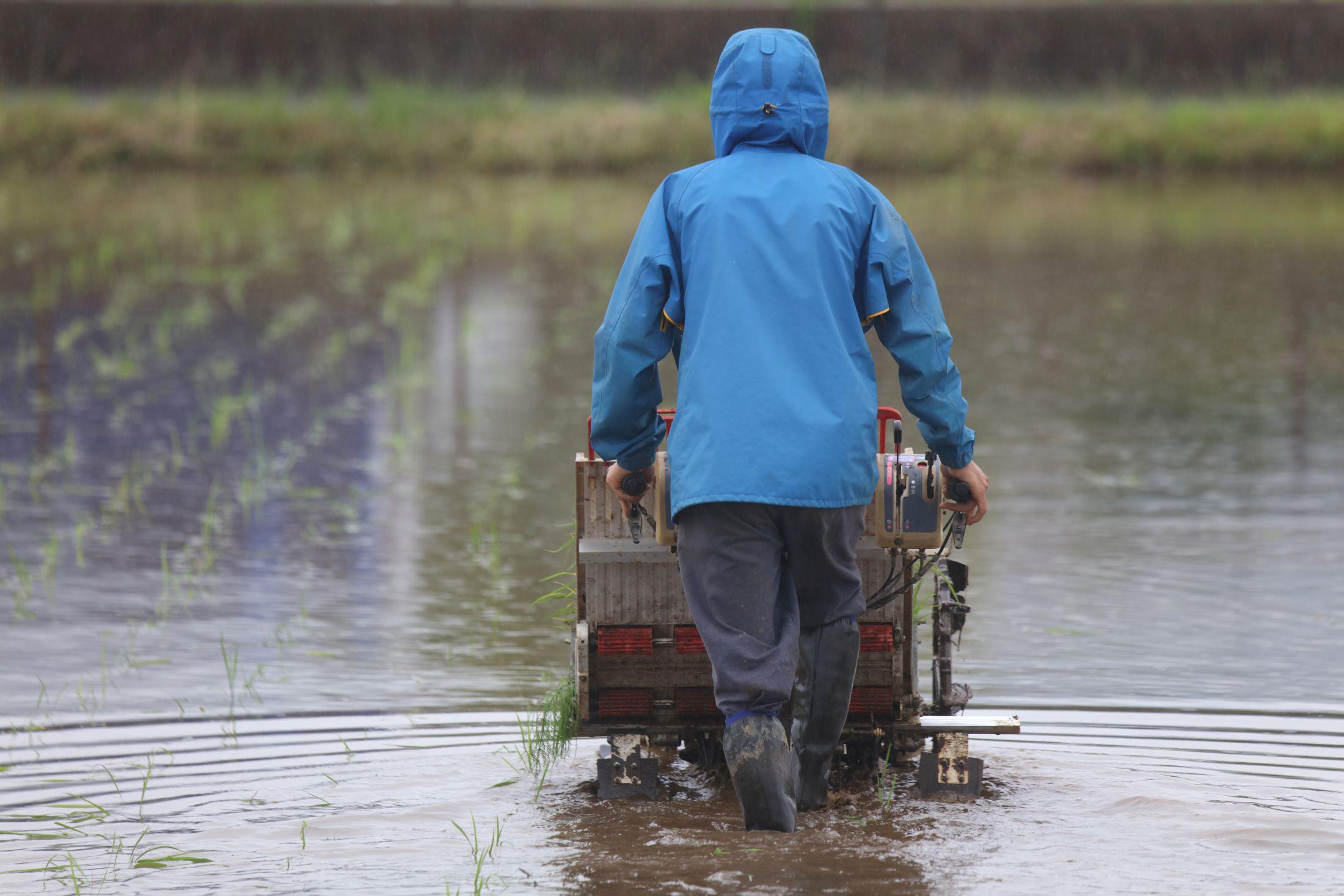 Con talleres e información se busca fortalecer la prevención agrícola ante al fenómeno de El Niño