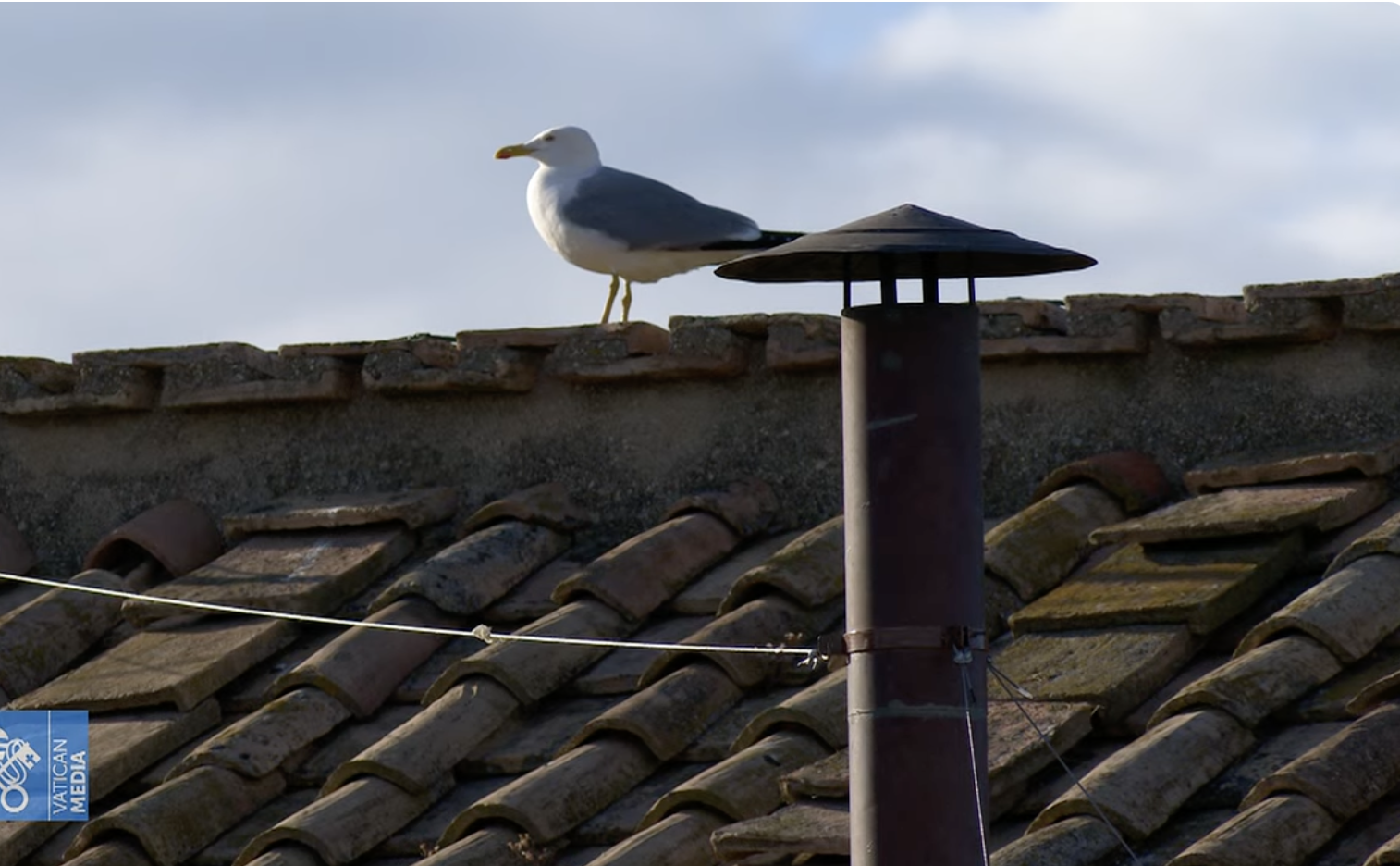 Expectativa ante la chimenea 