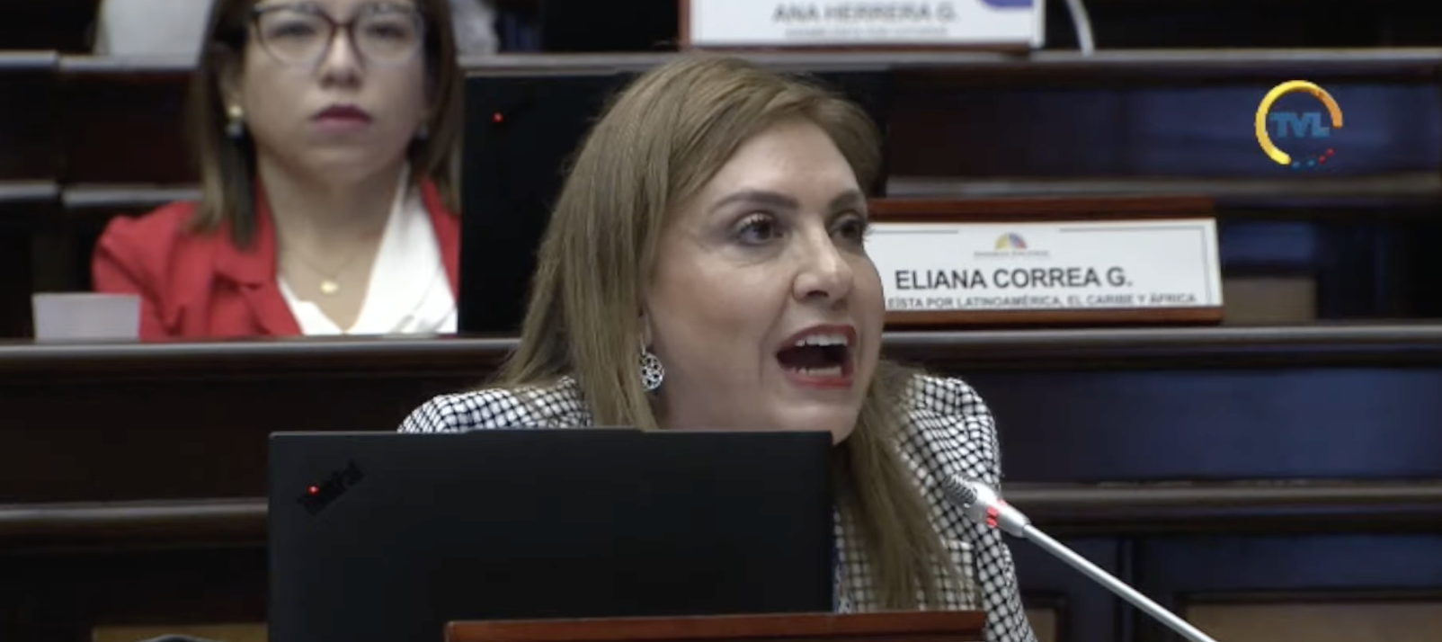 Críticas contra el proyecto Críticas contra el proyecto