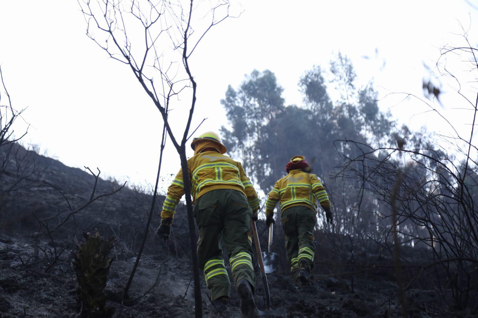Incendio en el cerro Casitagua sigue activo por segundo día: más de 90 bomberos combaten el fuego en Quito