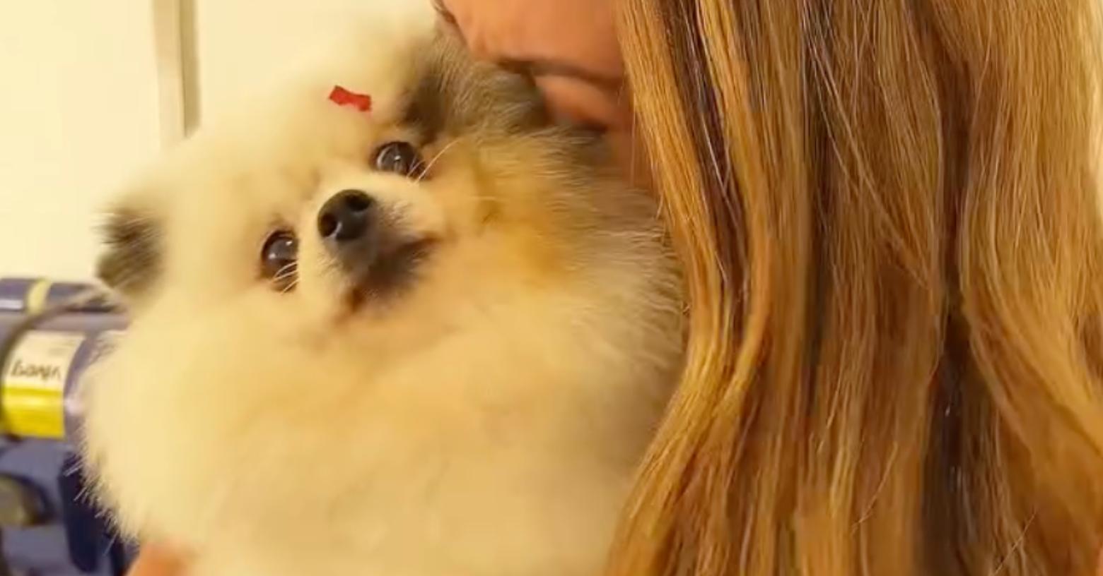 El emotivo reencuentro de Denisse Molina con su perrita Frida tras su llegada a Lisboa