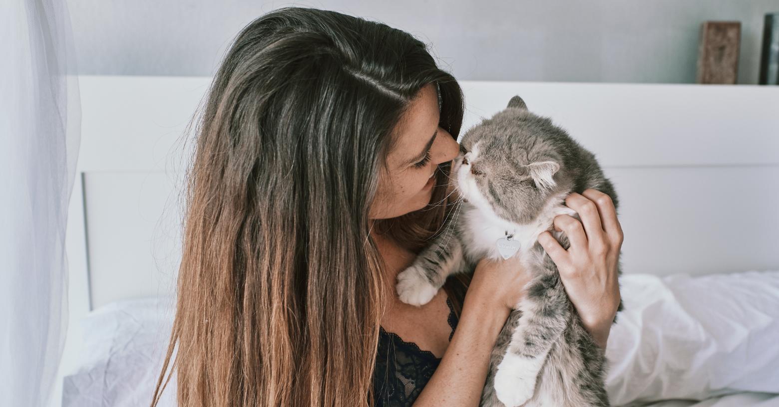 Día del Gato este 29 de octubre: por qué se celebra y el motivo de sus tres fechas al año