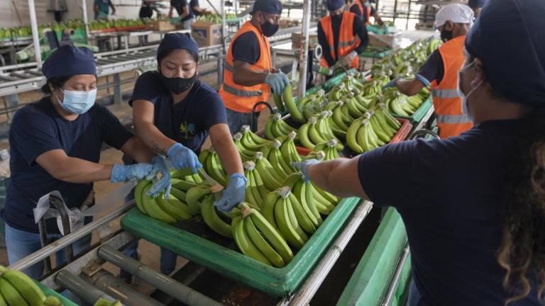 Qué vendemos y qué compramos a los EE.UU