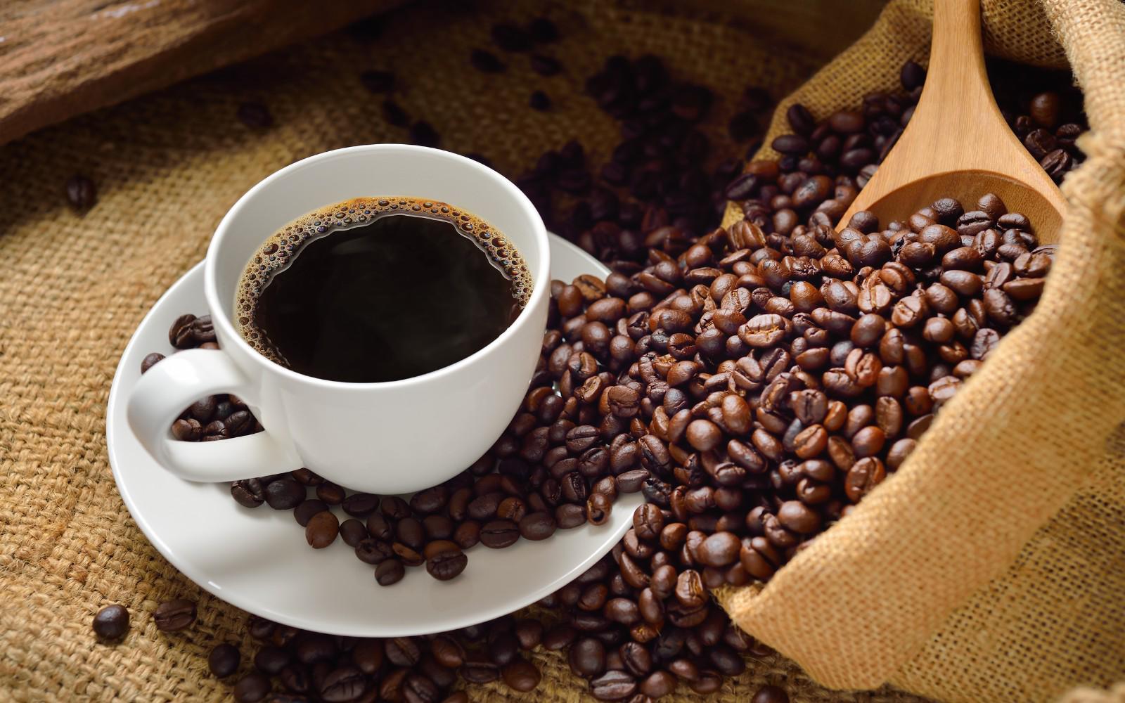 Asamblea declara a Loja “Capital del Café del Ecuador”