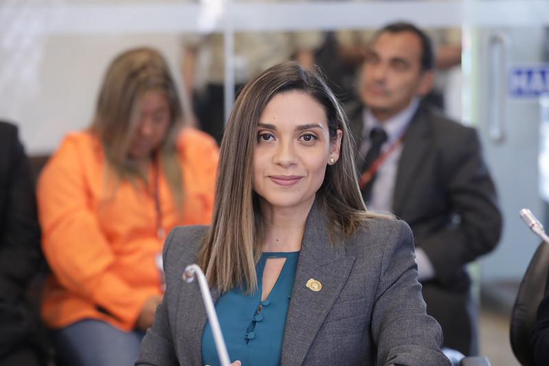 Mercedes Caicedo evita comparecer y correísmo anuncia acción constitucional por eliminación de jueces anticorrupción