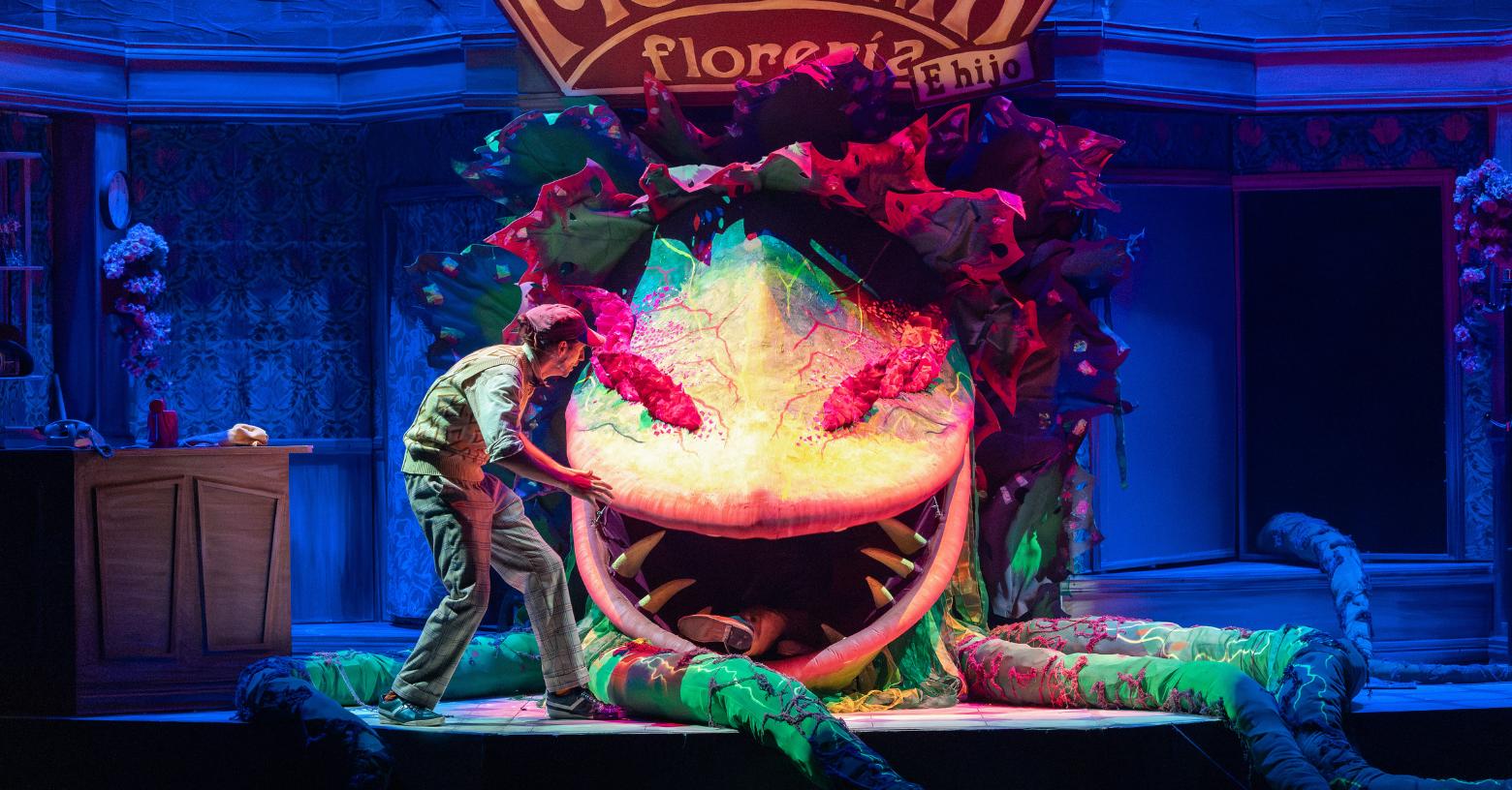 ‘Little Shop of Horrors’: el musical que conquistó Broadway llega por primera vez a Ecuador