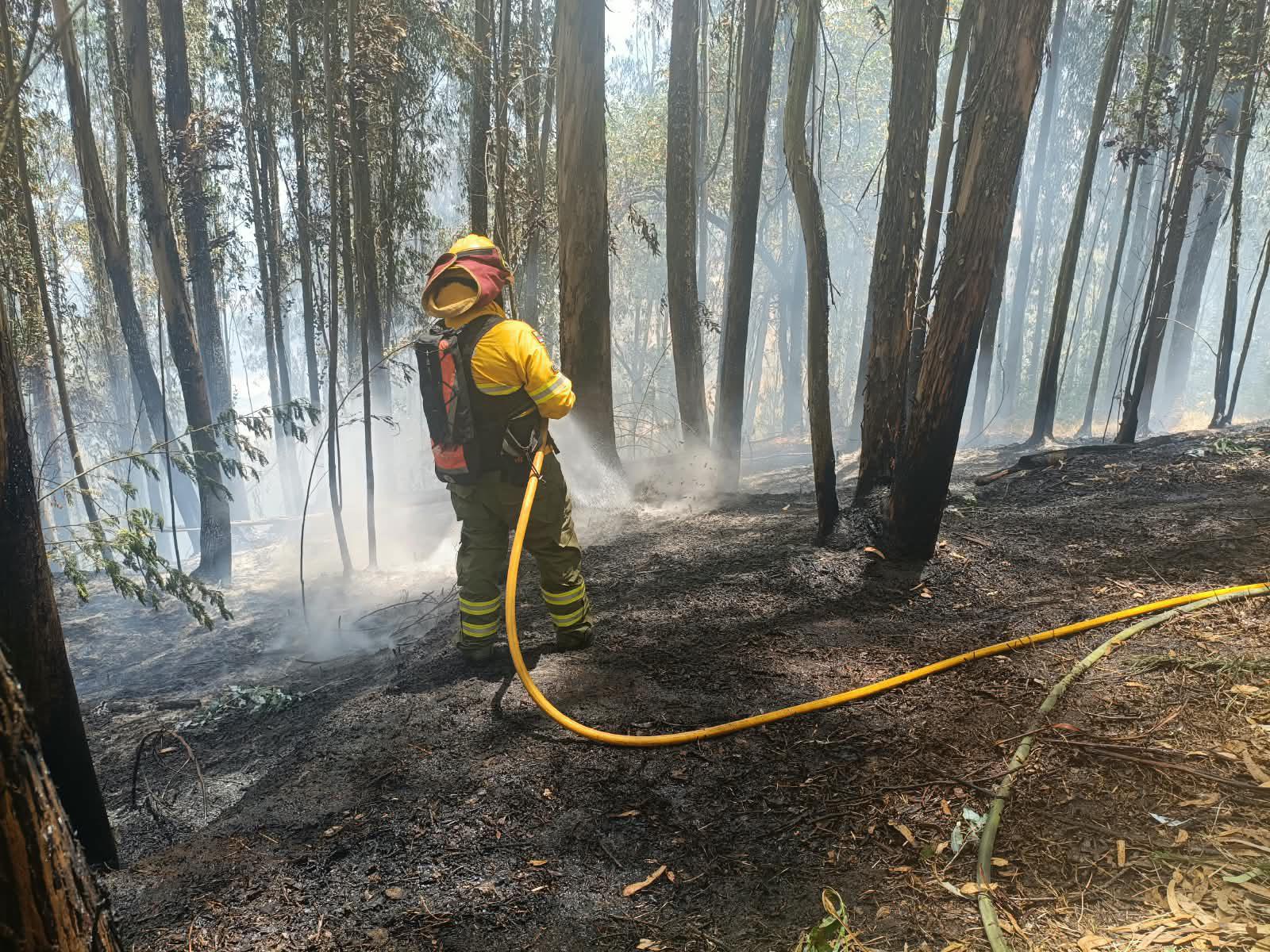 Incendios forestales en Quito: Bomberos controlan fuego en Rumipamba