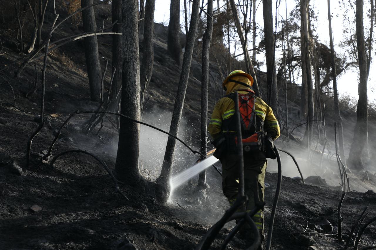 Quito: incendio forestal en La Bota fue controlado tras varias horas de labores con cerca de 60 bomberos