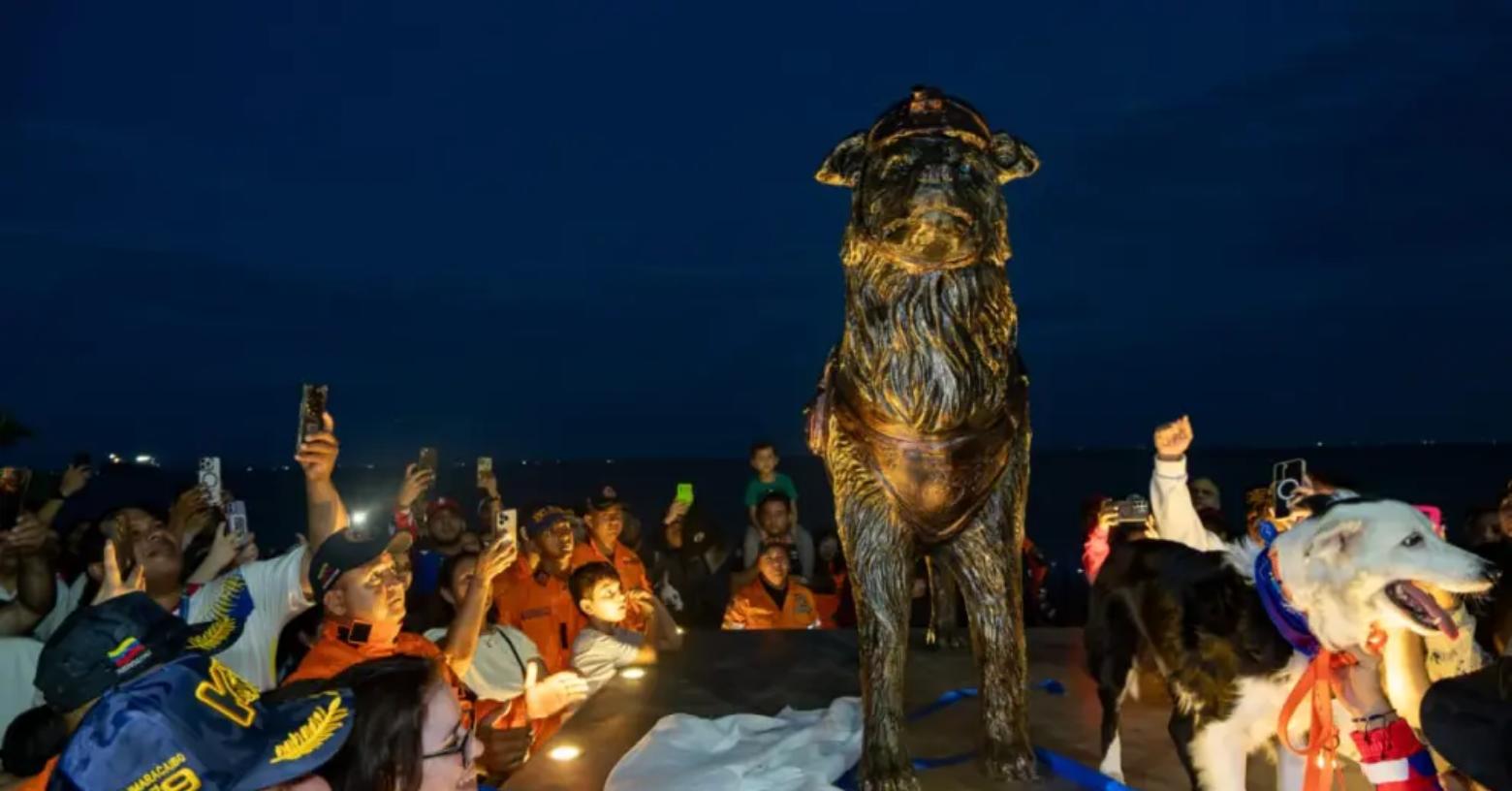 'Tsunami', el perro rescatista que pasó del abandono a tener su propia estatua en Venezuela