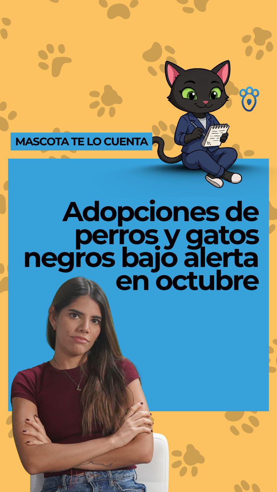 VIDEO | ¿Por qué alertan sobre perros y gatos negros y blancos?  