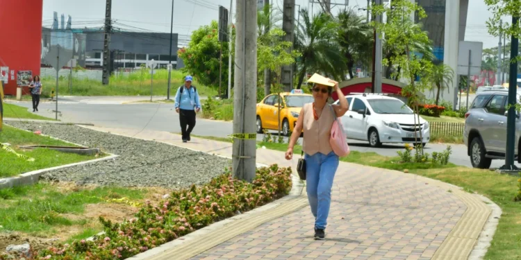 Gobierno inaugura nuevo parque en Ecuador, pero este detalle está generando molestia en la población