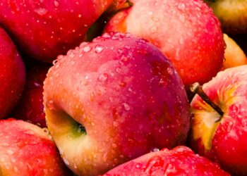 ¿Qué le ocurre realmente a alguien que come una manzana todos los días?