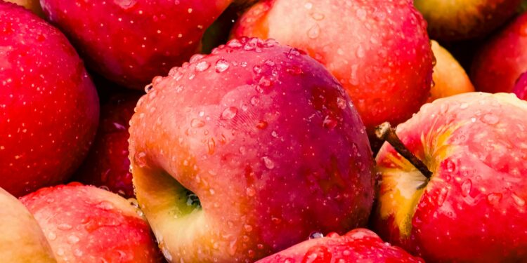 ¿Qué le ocurre realmente a alguien que come una manzana todos los días?