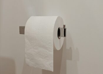 Si cuelgas el papel higiénico de esta manera, el resultado es aterrador: se llenará de gérmenes. Por qué “esta dirección” es la correcta