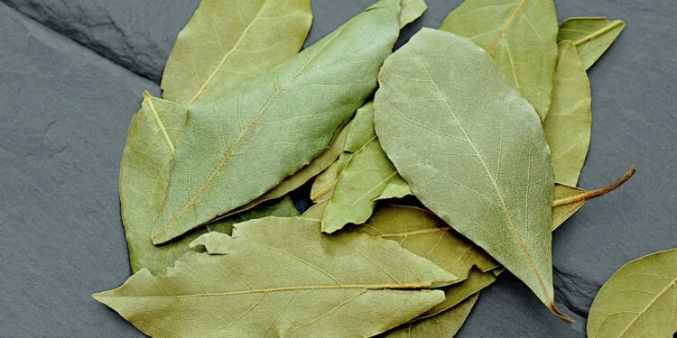 Hoja de laurel dentro de la cartera es señal de buena suerte y de dinero en camino