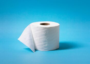 Por este motivo no deberíamos limpiar el asiento del inodoro usando papel higiénico