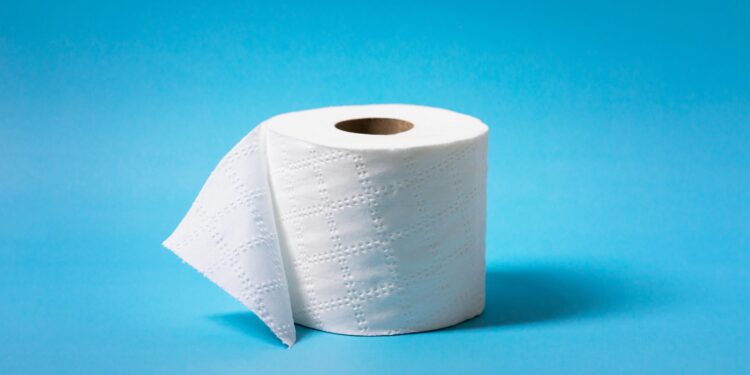 Por este motivo no deberíamos limpiar el asiento del inodoro usando papel higiénico