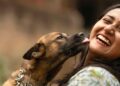 Los veterinarios coinciden: si tu perro tiene este comportamiento, es porque confía plenamente en ti