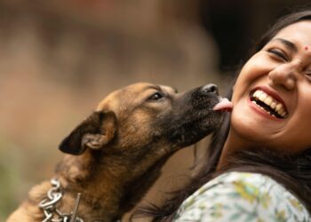 Los veterinarios coinciden: si tu perro tiene este comportamiento, es porque confía plenamente en ti