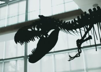 Científicos descubren que el T. rex también fue depredador de los mares hace 80 millones de años y dominó los océanos