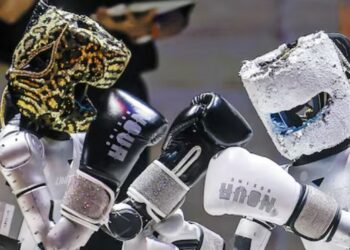 Ya existe un parque temático de robots humanoides para entretener al público en este país