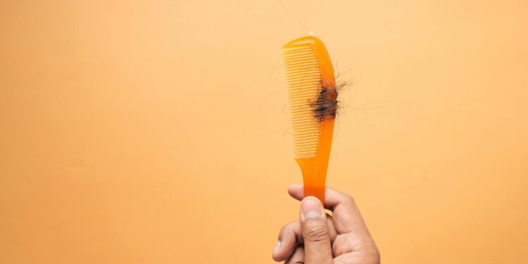 Nuevo estudio de Harvard revela métodos para prevenir la caída del cabello