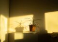 Sencillo consejo práctico para enfriar rápidamente tu casa después de un período de calor intenso