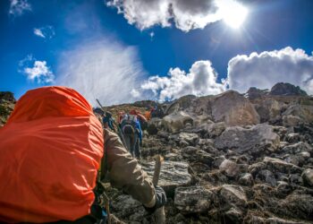 Alpinistas italianos encuentran fósiles de tortugas grabados en roca tras un terremoto ocurrido hace 80 millones de años
