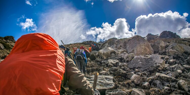 Alpinistas italianos encuentran fósiles de tortugas grabados en roca tras un terremoto ocurrido hace 80 millones de años