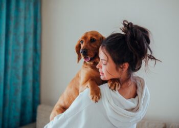 ¿Qué ocurre en tu cerebro cuando hablas con tu perro como si fuera una persona, según los veterinarios?