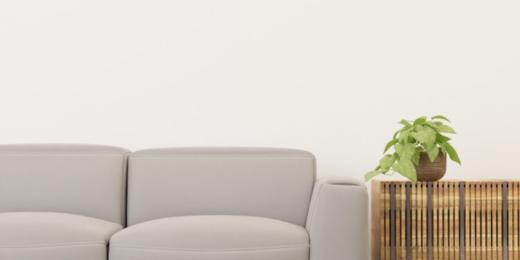 La planta más elegante para tener en el salón: cómo cultivarla y hacer que crezca saludable