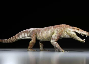 Pocas personas lo saben, pero este cocodrilo depredador cazaba dinosaurios en el pasado