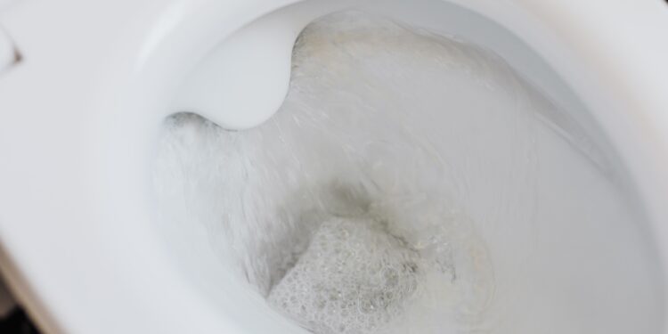 Colocar una taza de arroz en el baño: para qué sirve y por qué se recomienda