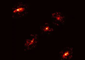 Un telescopio italiano capta una imagen poco común y obliga a los científicos a replantearse cómo crecen las galaxias