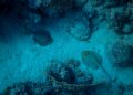 No bastaban los ovnis: misteriosos objetos también son descubiertos en el fondo del océano