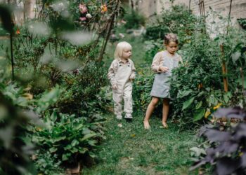 Tras seguir a miles de personas durante 50 años, investigadores identifican un rasgo de la infancia que predice salud y prosperidad económica en la vida adulta